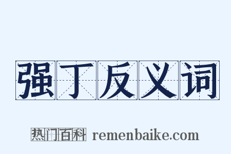 强丁反义词是什么意思的图片